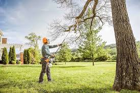 Best Aeration Services  in Dawson Springs, KY