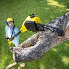 Mulching Services in Dawson Springs, KY
